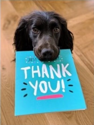 Photo of a dog holding a card that says "Thank You!", meaning thanking a successful person for giving, rather than for giving back.
