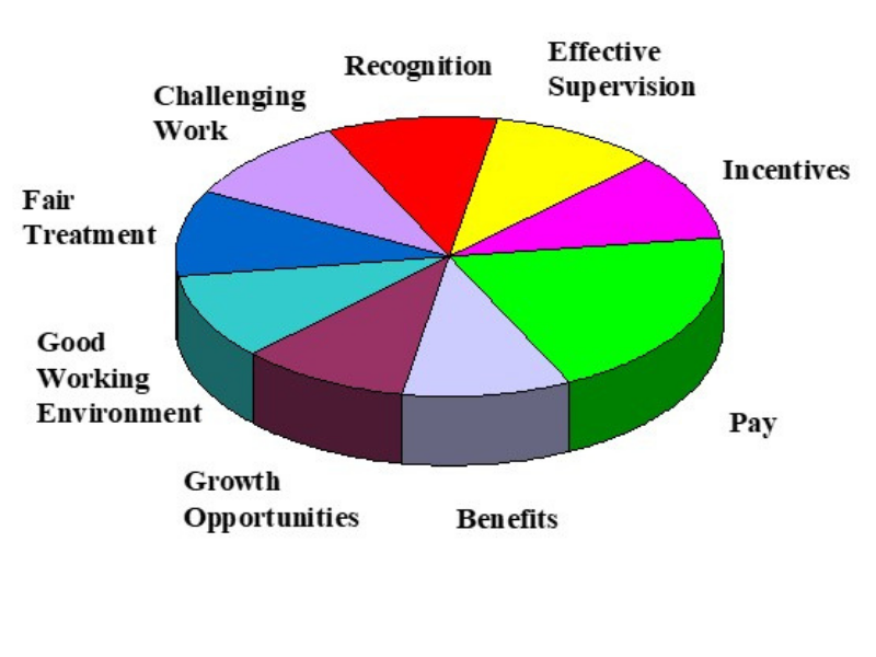 Pie Chart of the items the employer gives and the employee receives. These are pay, incentives, benefits, growth opportunities, good working environment, fair treatment, challenging work, recognition, and effective supervision.